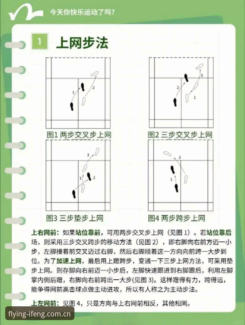 凤凰体育平台从入门到精通：登录通道与IFENG数据的完整操作教程
